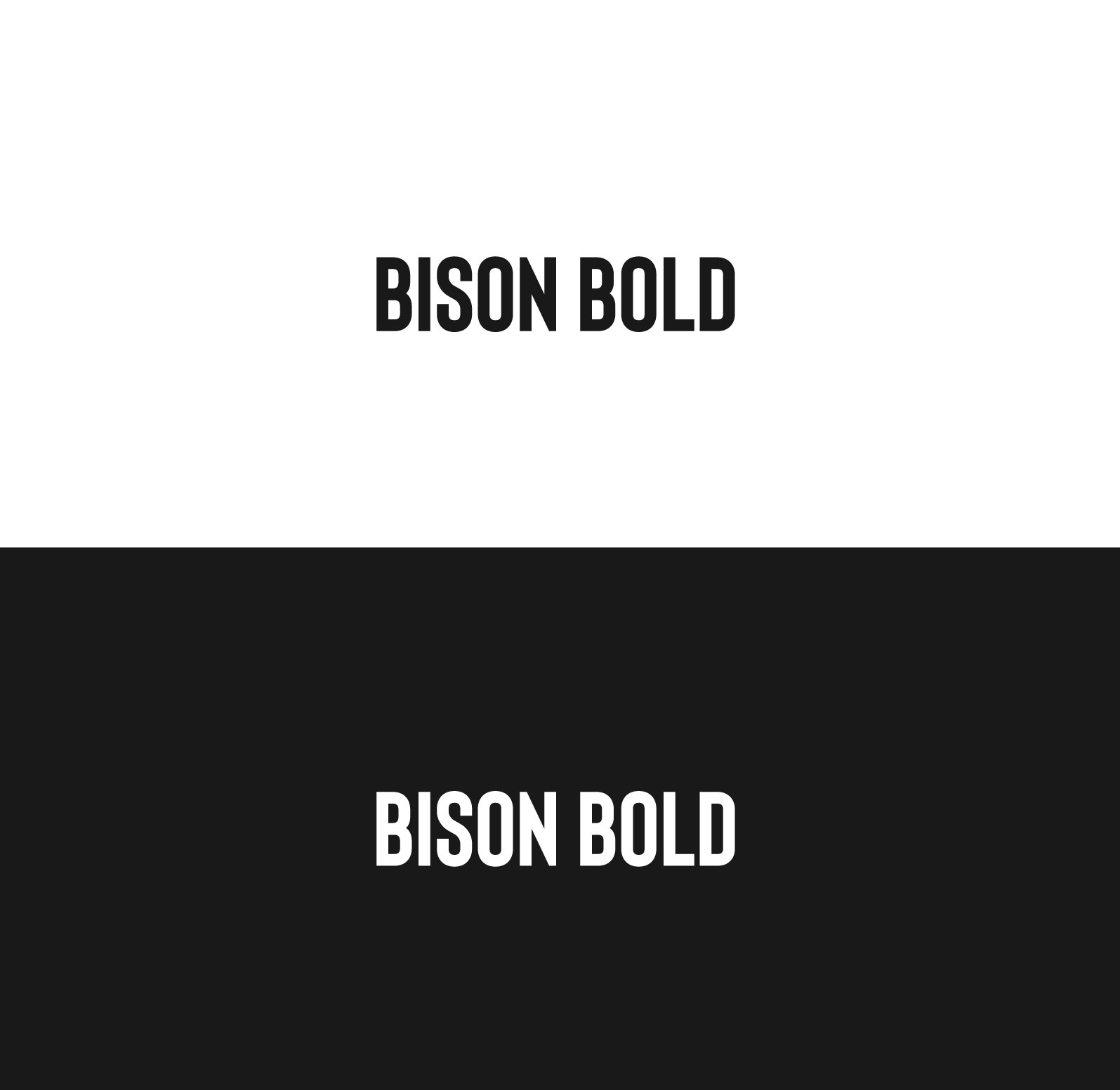 Bison-bold-2022-modern-fonts