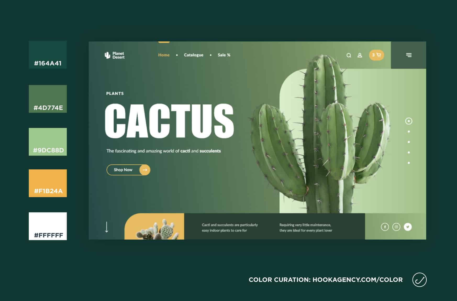 Cactus-Greenery-Current-Year 2021 Website Color Schemes