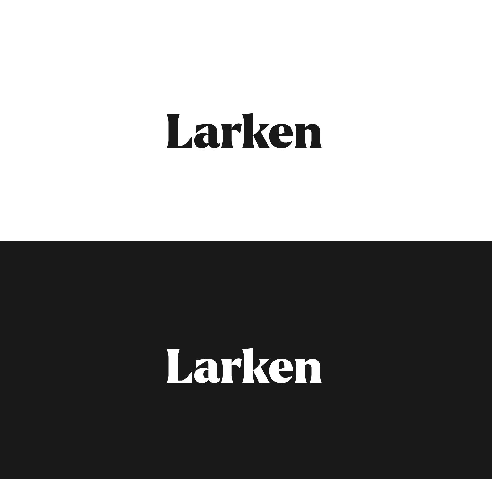 Larken Modern Fonts for 2022