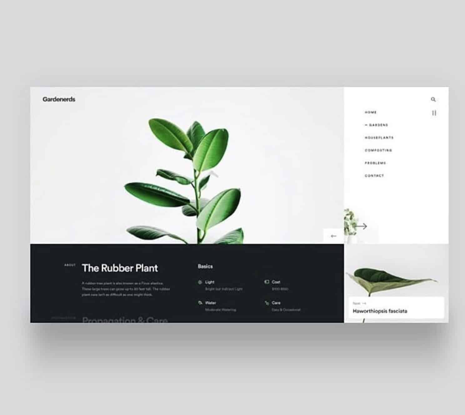 plants-in-web-design-clean-website-white-space