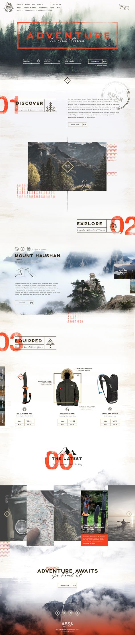 Earthy Modern Color Palette