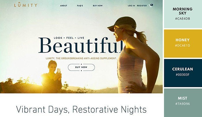 Sunny and Calm - Website Color Palette