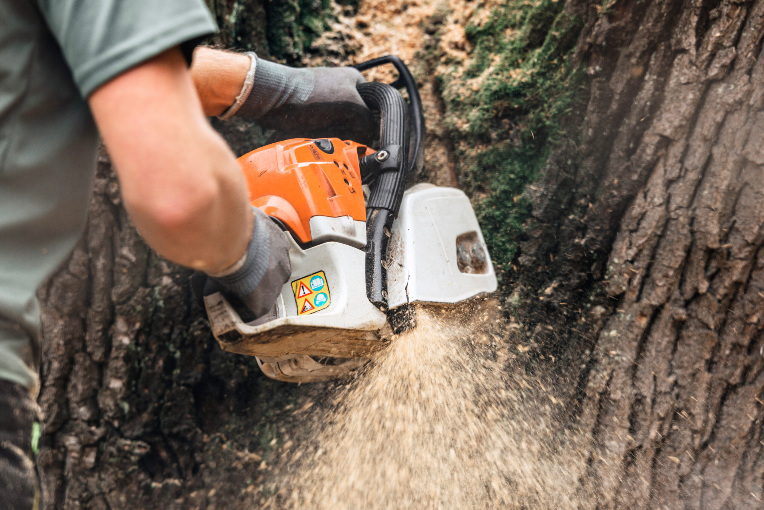 A skilled professional in a green shirt and gloves expertly operates an orange-and-white chainsaw, efficiently cutting into a tree trunk with precision, showcasing exceptional technique and professionalism.