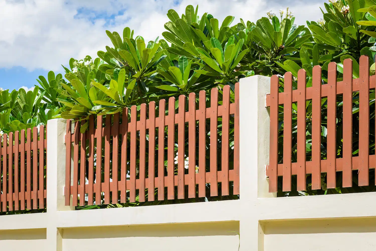 A beige concrete wall with a red-brown wooden picket fence showcases exceptional craftsmanship. Behind the fence, vibrant green foliage from large-leafed plants thrives under a partly cloudy blue sky, illustrating the expertise of our professional fencing company.