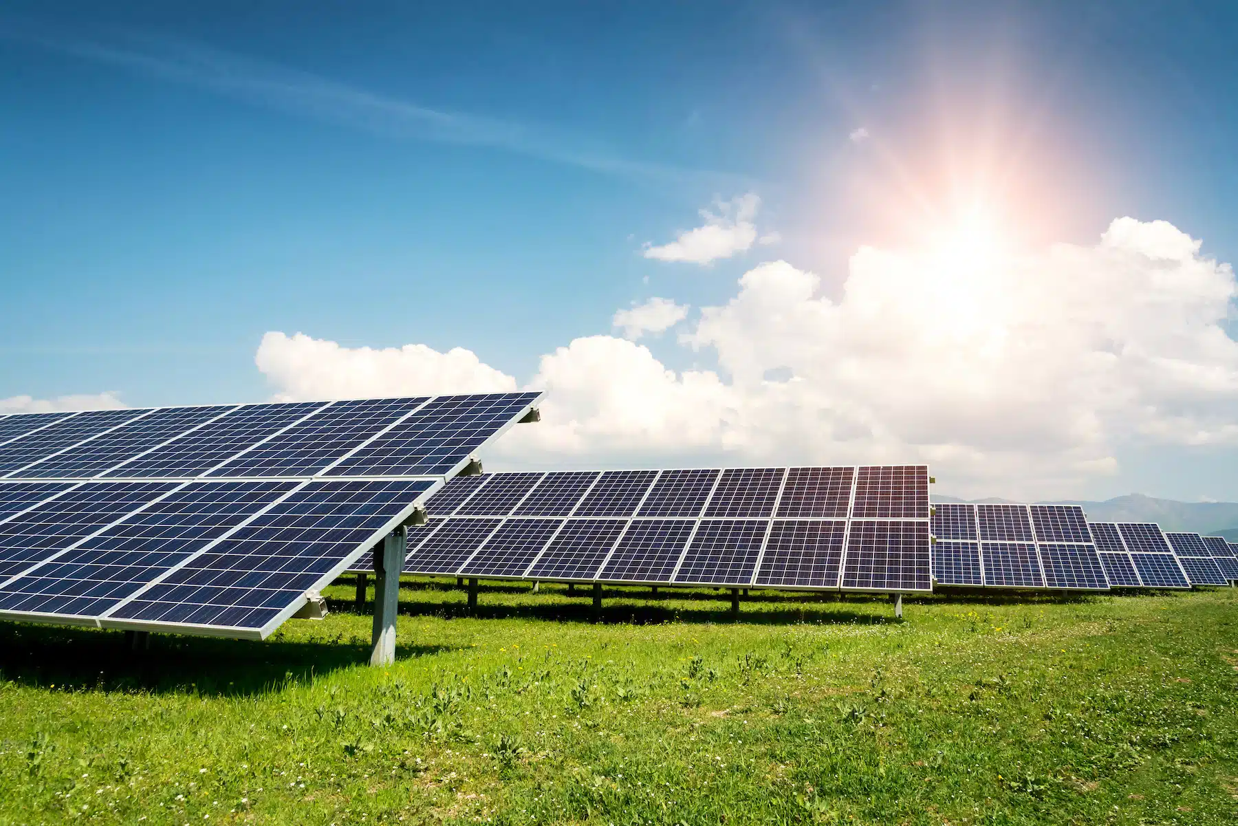 A large array of solar panels, representing the renewable energy industry, paired with effective solar marketing agency services, website design, and lead generation strategies to drive customer engagement and growth.