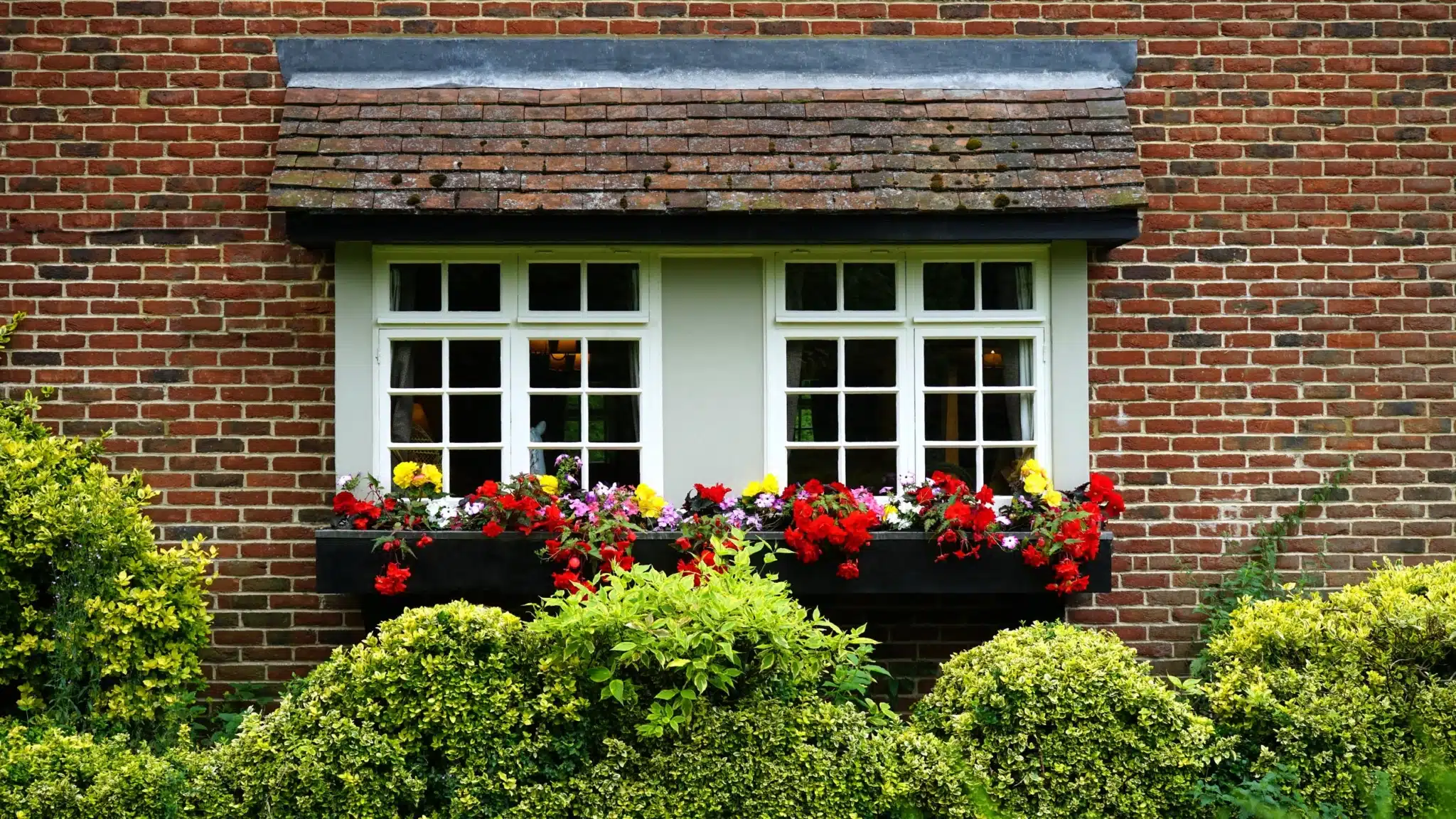 On Hook Agency's website:

Transform your space into a picturesque masterpiece with our inspiration: A brick house wall adorned with two white-framed windows, vibrant red, pink, and yellow flowers flourishing in a flower box below. Enhance this idyllic scene with lush green shrubs lining the base of the wall. Perfect for capturing timeless beauty.